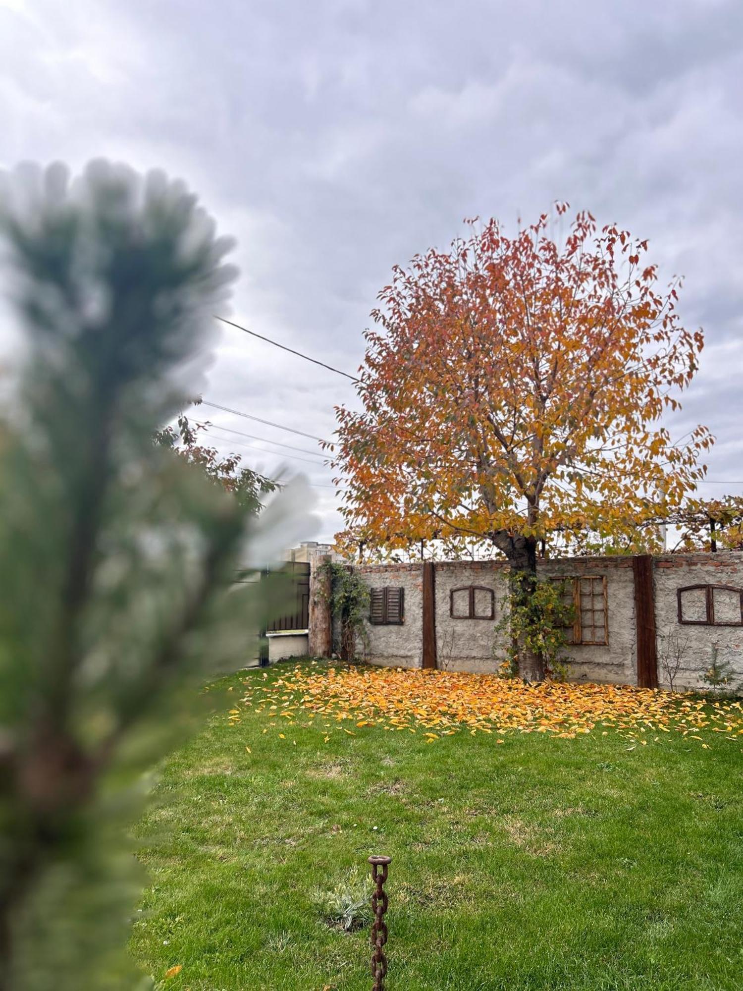 Like Home Rîşnov Luaran gambar